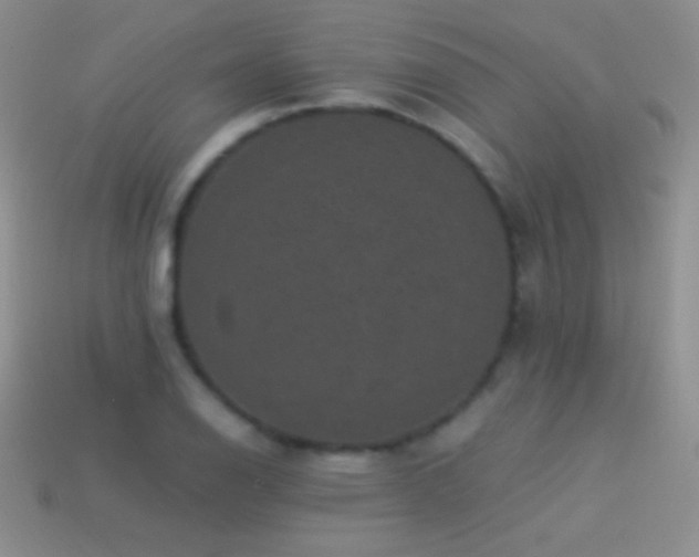 X0000114521126200910191149