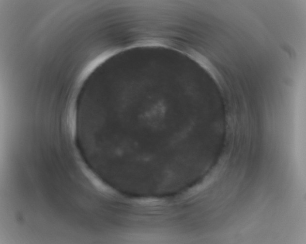 X0000114521127200910191149