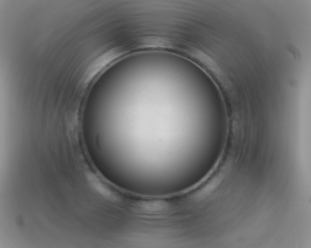 X0000114521129200910191149