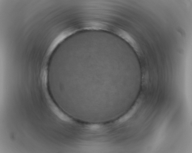 X0000114521130200910191149