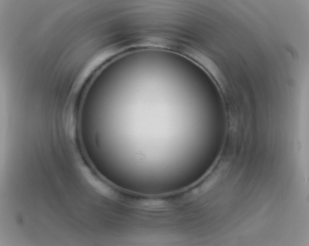 X0000114521131200910191149