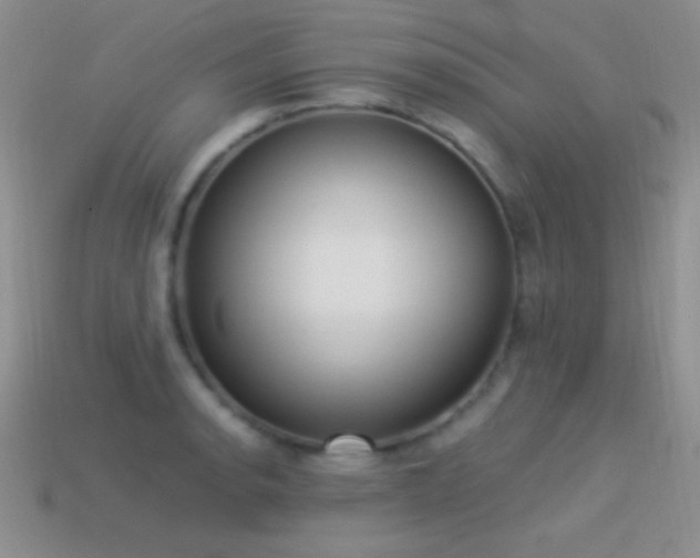 X0000114521134200910191149