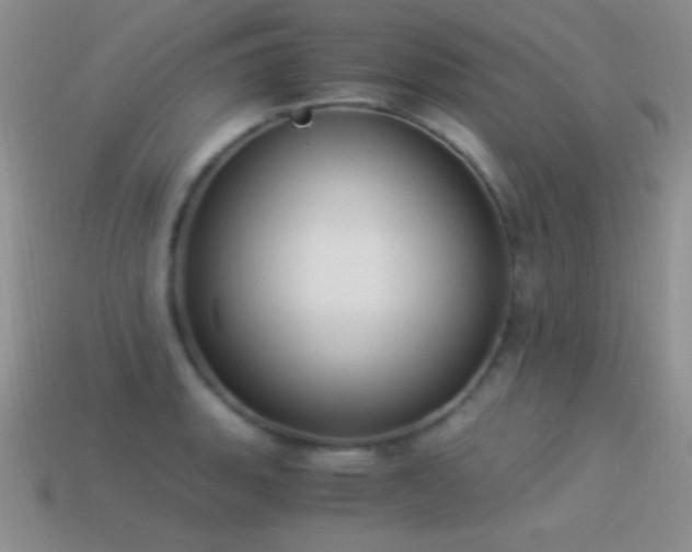 X0000114521135200910191149