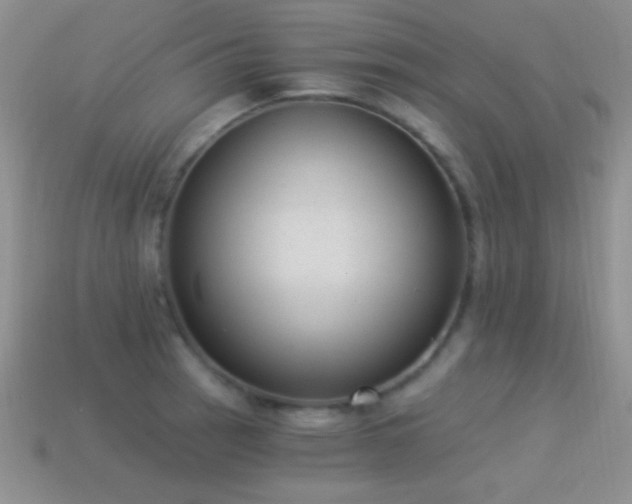 X0000114521137200910191149