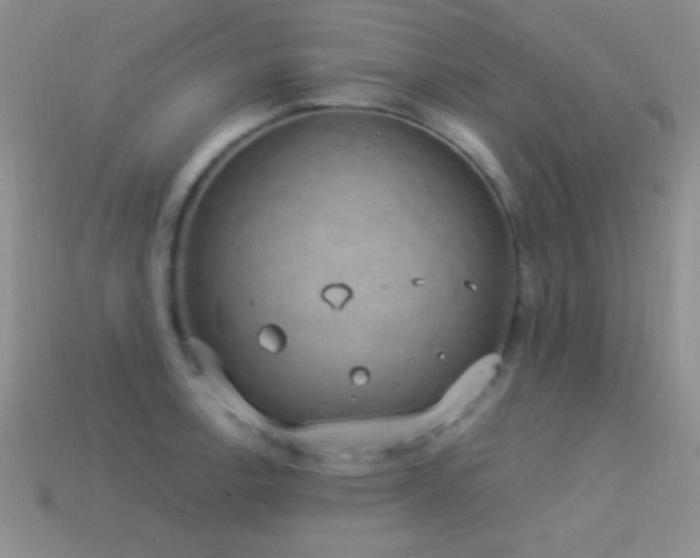X0000114521138200910191149