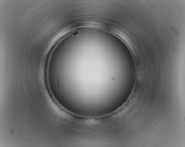 X0000114521139200910191149