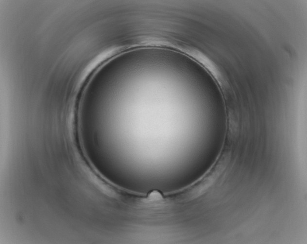 X0000114521142200910191149