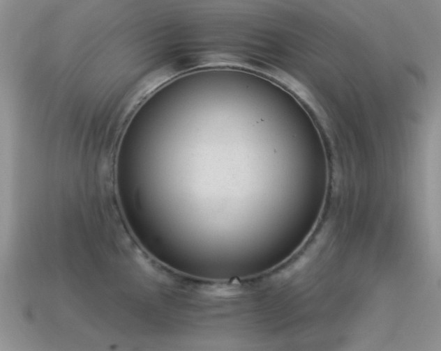 X0000114521145200910191149