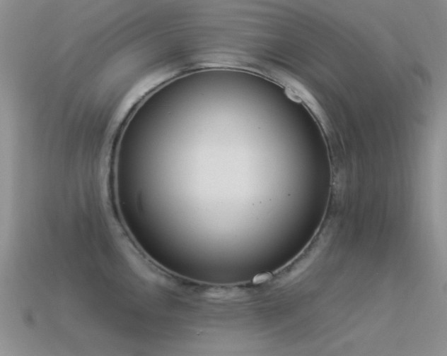 X0000114521146200910191149
