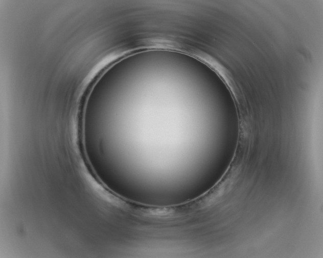 X0000114521147200910191149