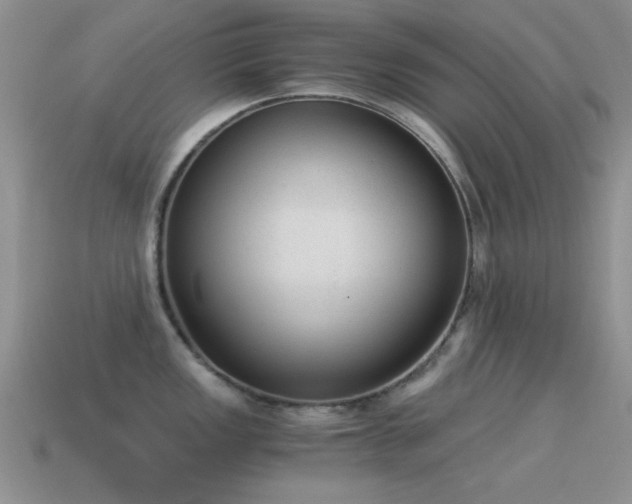 X0000114521149200910191149
