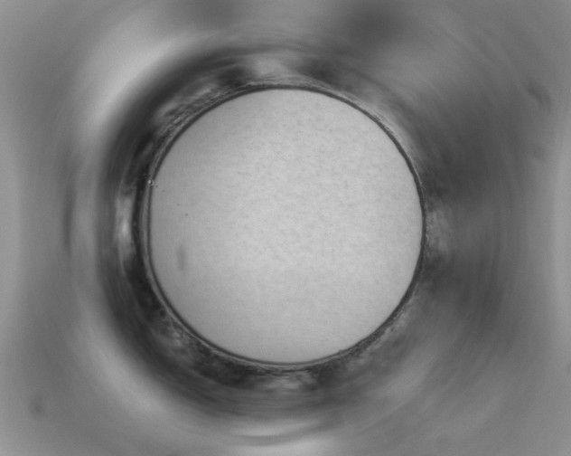 X0000114521150200910191149