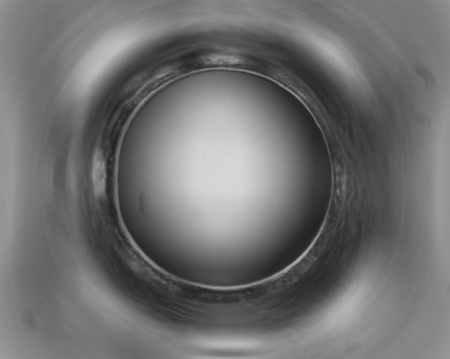 X0000114521151200910191149
