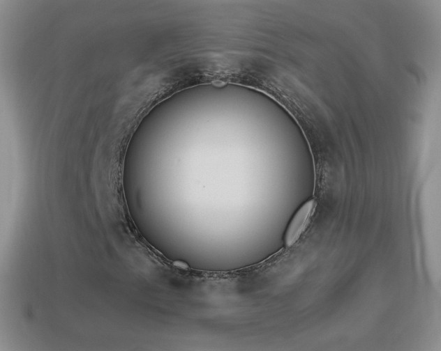 X0000114521153200910191148