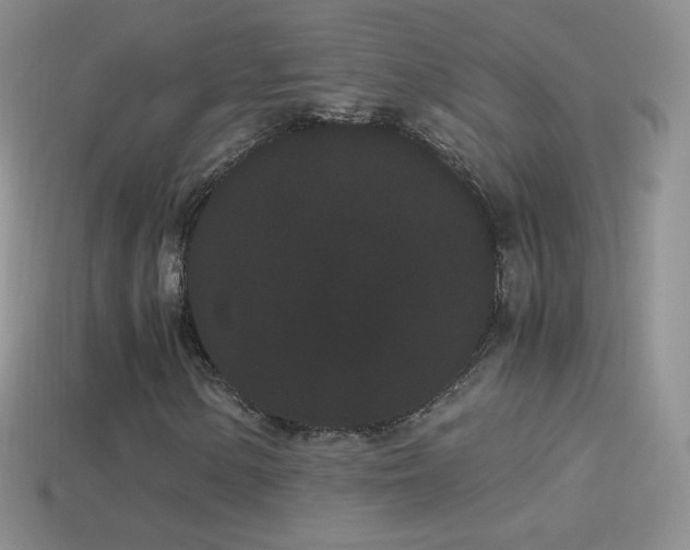 X0000114521154200910191148