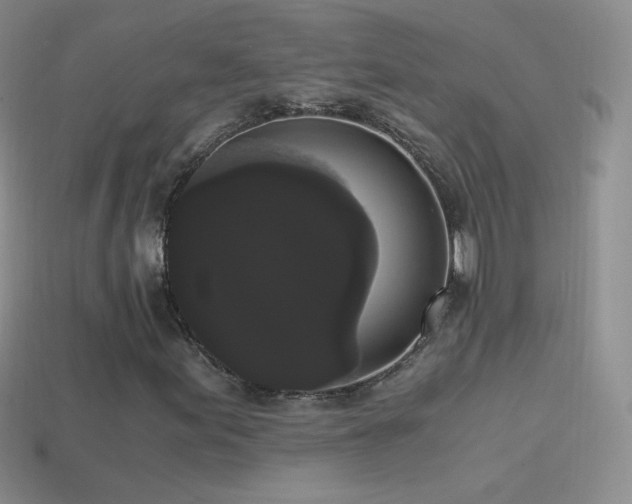 X0000114521155200910191148