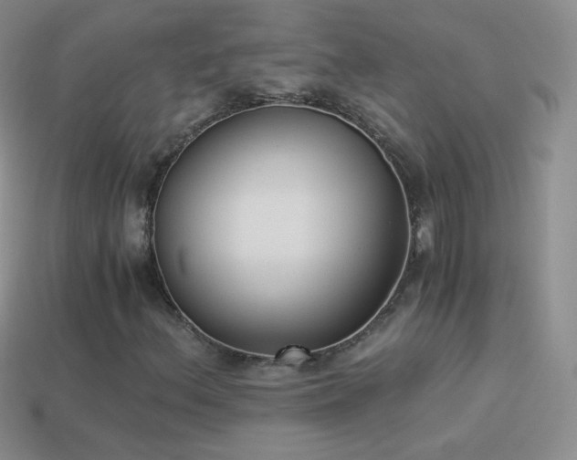 X0000114521156200910191148