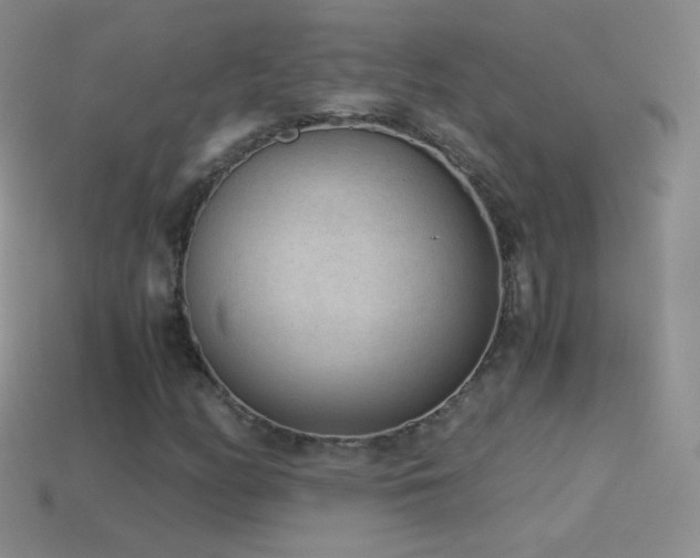 X0000114521158200910191148
