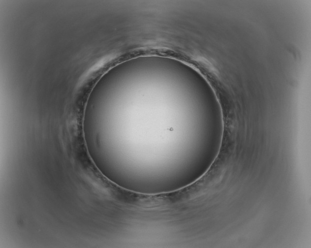 X0000114521159200910191148