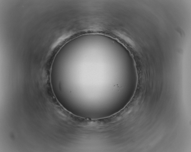 X0000114521160200910191148