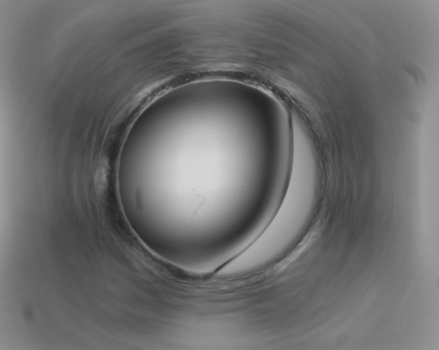 X0000114521161200910191148