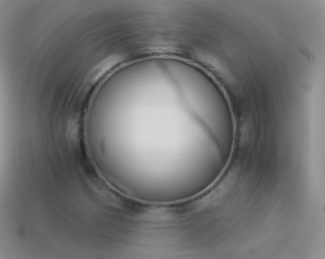 X0000114521162200910191148
