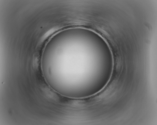X0000114521163200910191148
