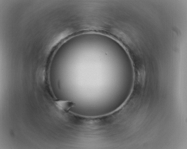 X0000114521165200910191148