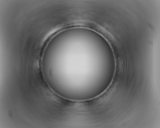 X0000114521166200910191148