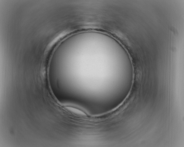 X0000114521167200910191148