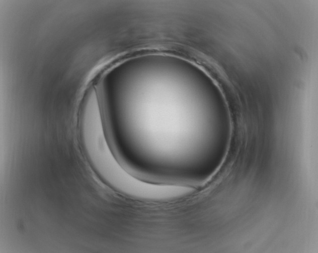 X0000114521168200910191148