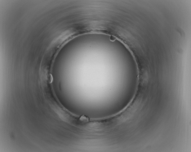 X0000114521169200910191148