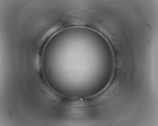 X0000114521171200910191148