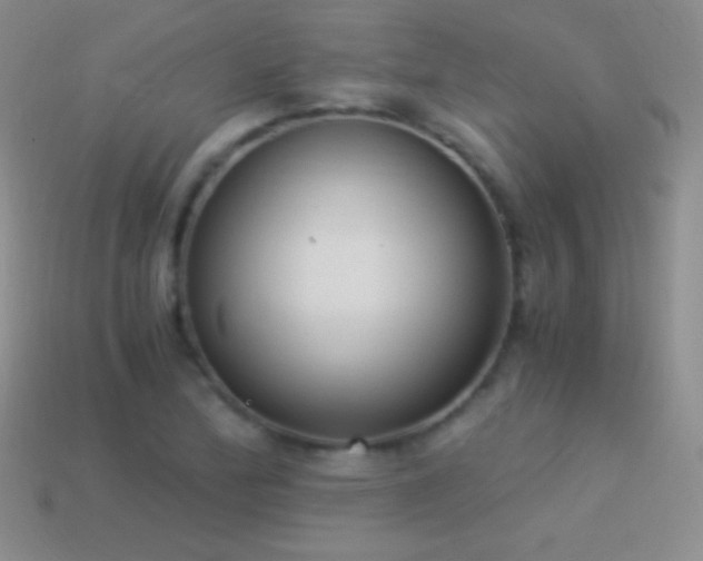 X0000114521172200910191148
