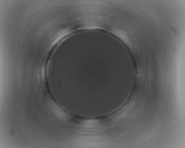 X0000114521173200910191148