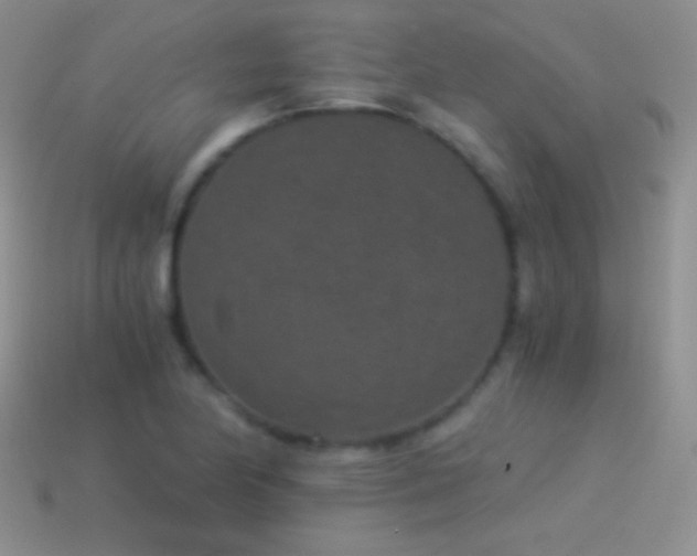 X0000114521174200910191148