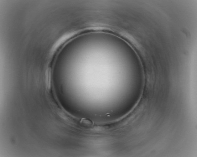 X0000114521175200910191148