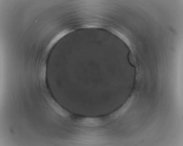 X0000114521179200910191148