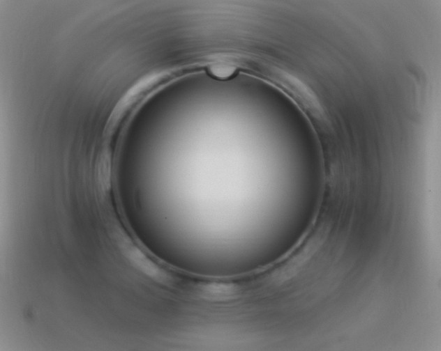 X0000114521180200910191148