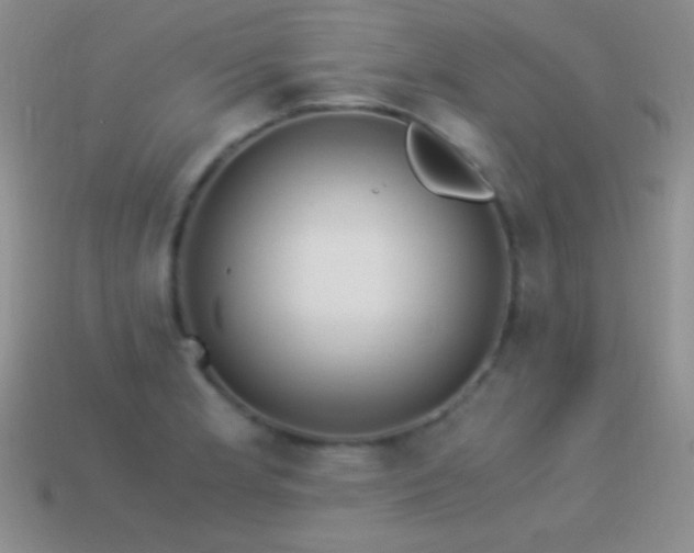 X0000114521181200910191148