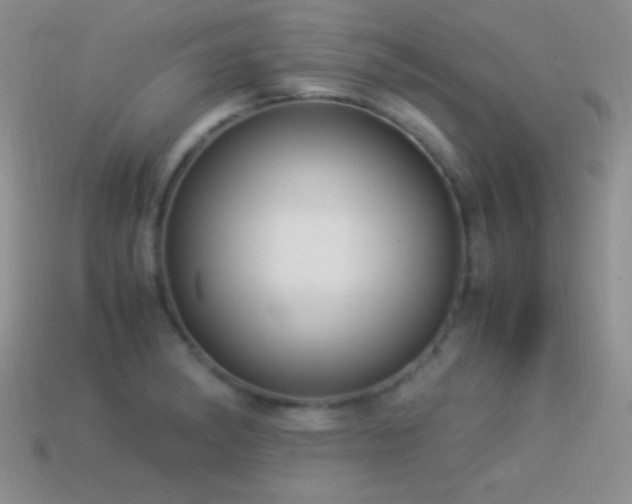 X0000114521182200910191148
