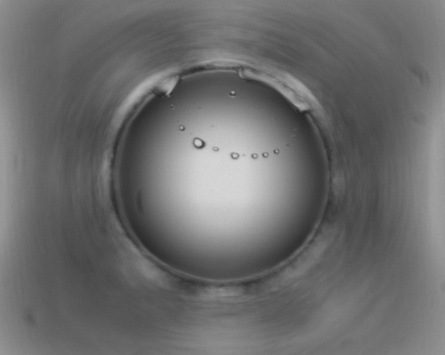 X0000114521183200910191148