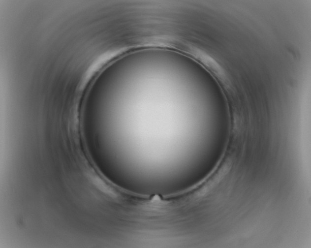 X0000114521184200910191148