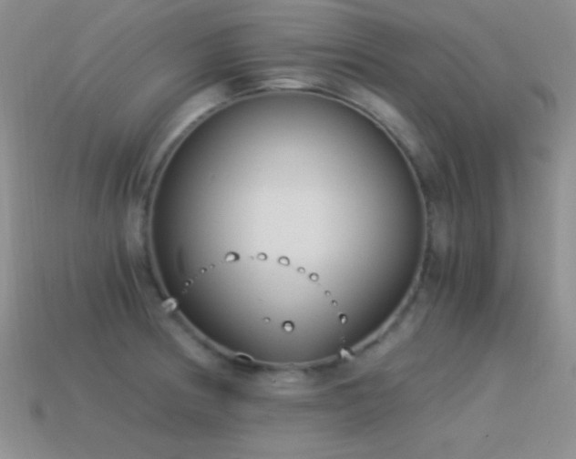 X0000114521186200910191148