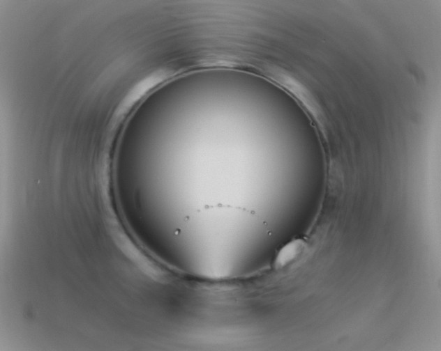 X0000114521187200910191148