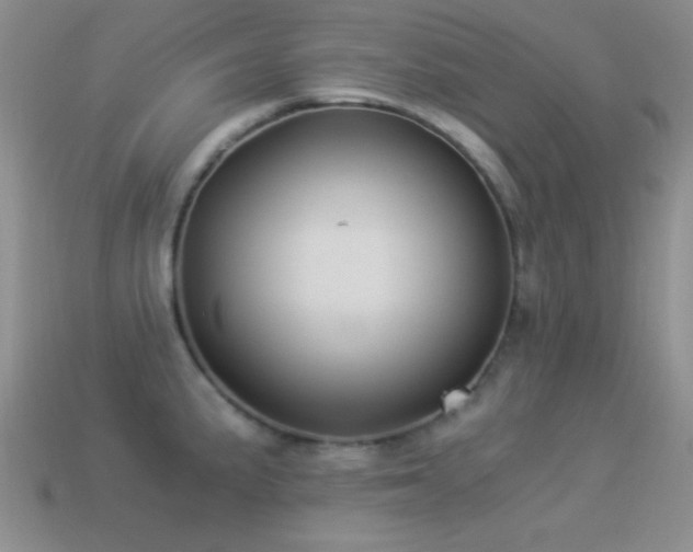 X0000114521191200910191148