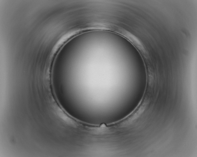 X0000114521192200910191148