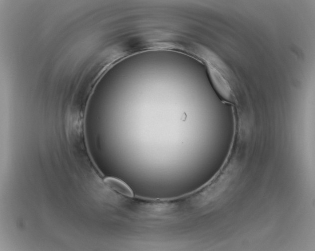 X0000114521193200910191148