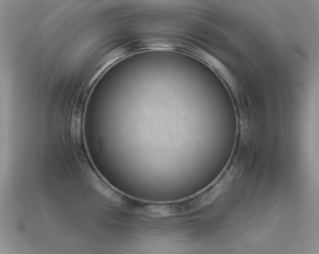 X0000114521194200910191148