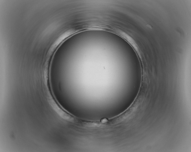 X0000114521195200910191148